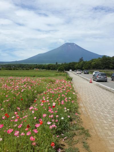 富士山にいつ行くの！？今でしょ！！