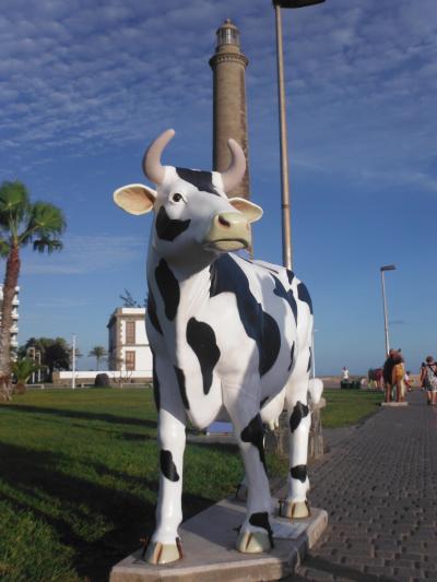 グラン カナリア島　マスパロマス　-4-　ペイント牛オンパレード