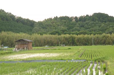 関西散歩記～2013 京都・亀岡市内編～