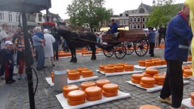 ゴーダ　Gouda のチーズ市・・・・・ベルギーオランダ１５日間の旅