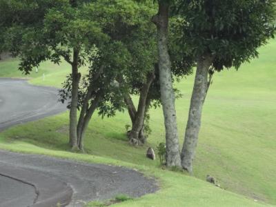 片道３時間のプライベートゴルフ