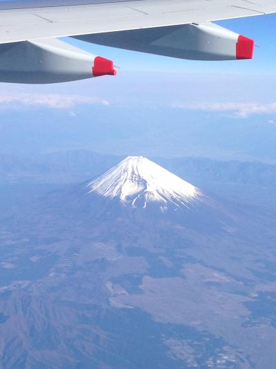 ゆる～いスリランカ旅　1日目　平和島→シンガポール→スリランカ