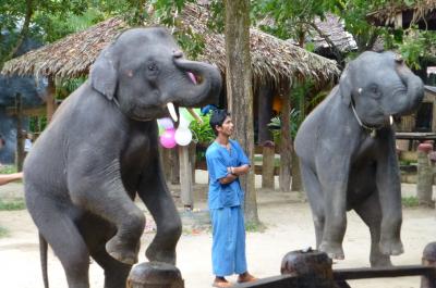 家族4人でプーケット&シンガポール旅行! プーケット編①