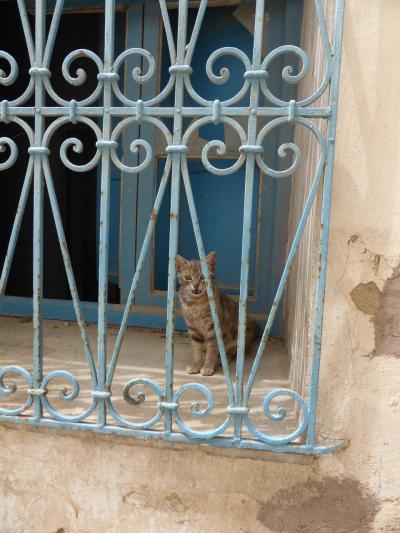 GWチュニジア＆北イタリア11日間の旅《6》チュニス前編