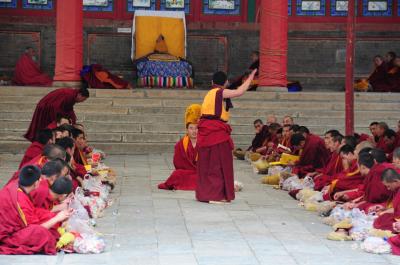 GW西北旅12★西寧★チベット仏教寺院タール寺で問答修業を見学