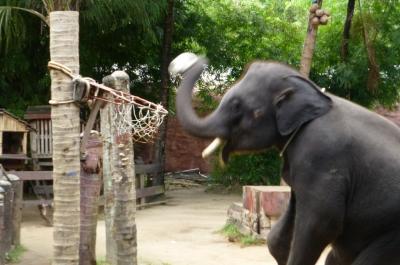 家族4人でプーケット&シンガポール旅行! プーケット編②