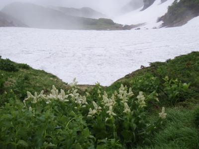 2013 黒部ルート見学と雨の黒部立山紀行　3　～　雷鳥荘とアルペンルート下山 ～