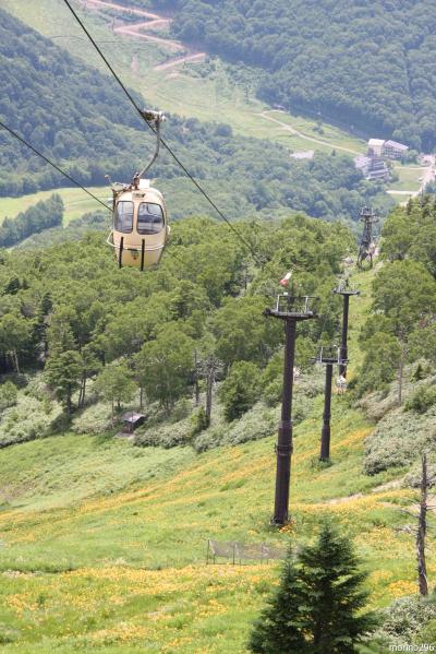 2013夏の花旅：志賀高原（その2）東館山・天空のお花畑