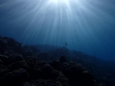 ファンダイビングぅー！