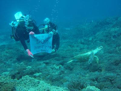バリ島で娘とカメが祝ってくれた５０本目ダイビング　バリ親娘旅②