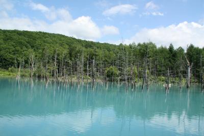 涼を求めて北海道②　青い池、しらひげの滝、白金不動の滝、ぜるぶの丘