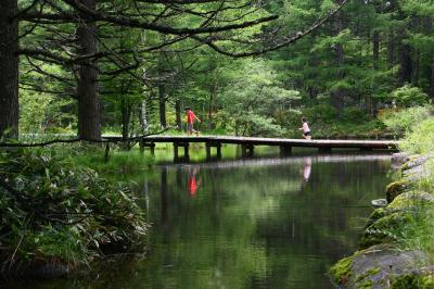 梅雨明け間近の信州(3) 御泉水自然園 ～2013年6月～