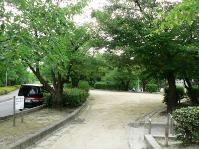 日本の旅　関西を歩く　大阪府枚方市、香里ヶ丘桜公園（さくらこうえん） 周辺