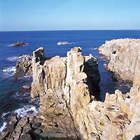 真夏の越前路日本海/東尋坊とレトロな湊町