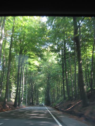 はじめてのベルギー　２００９年９月