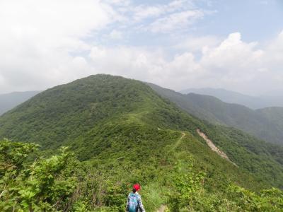 真夏の山歩き★伊吹北尾根★～三山登頂で充実感ＭＡＸ～