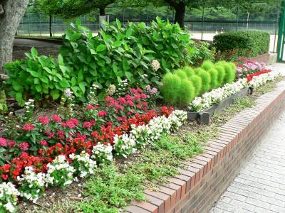 日本の旅　関西を歩く　大阪府枚方市、香里ヶ丘中央公園（こうりがおかちゅうおうこうえん）.周辺