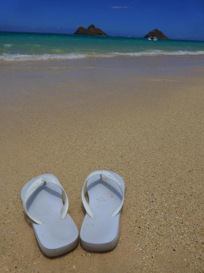 ■家族deハワイ 2013 【3日目】 ヒルトン/ラニカイ/カイルア/バズステーキハウス/ホールフーズ/ラニカイジュース/678