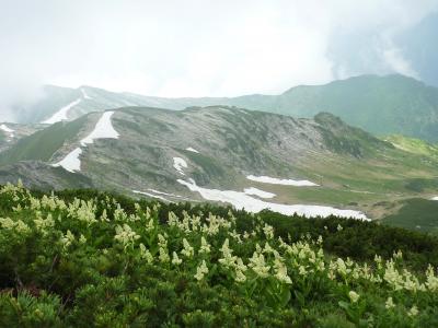 雲上の花園♪　北アルプスの風に吹かれて　笠ヶ岳登山♪