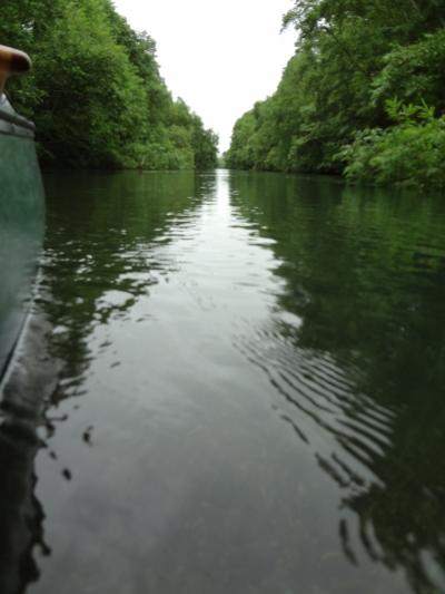 念願の釧路川カヌーツアー旅行2013 