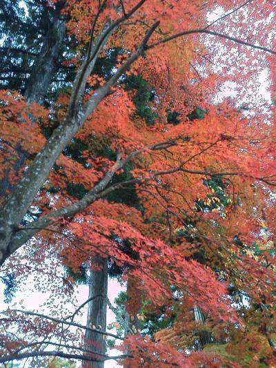 花巻と平泉