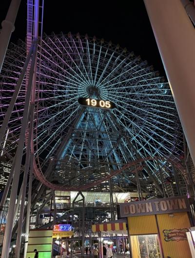 神奈川県 横浜・小田原などの旅 2010年~2013年