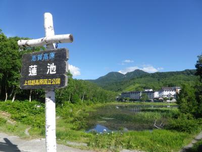 志賀高原・蓮池周辺と東館山高山植物園散策