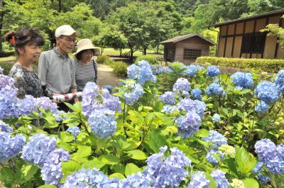 夏休みを元気で