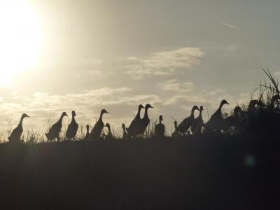 親子3世代旅行第3弾はインドネシア(バリ編)1/2