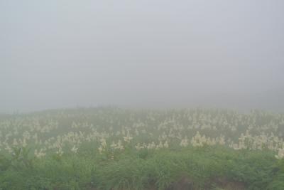 羽黒山と月山、そして山寺