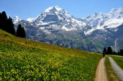 2013年スイス滞在記（８）　ハイキング編④　ミューレンの牧草地を歩く