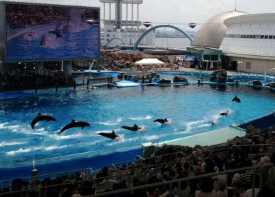 真夏でも涼しく感じる 名古屋港水族館でした。