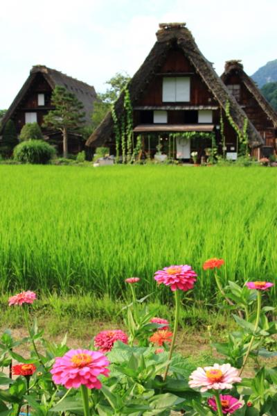 ☆世界遺産を巡る、夏の北陸ひとり旅☆(3)【白川郷編】