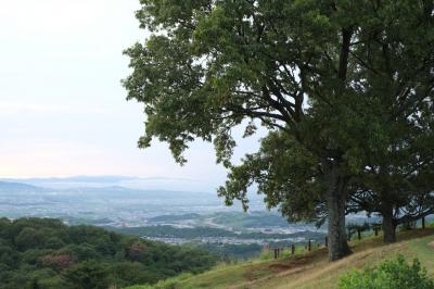 夏の大和路、気ままドライブ　２日目②（円成寺、海住山寺、若草山）