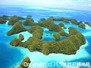 玉砕の島ペリリュ