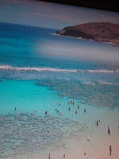 68歳で初シュノーケル