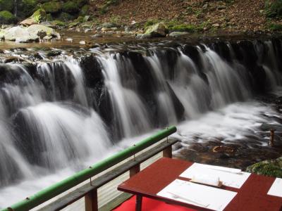 青もみじと川床初体験