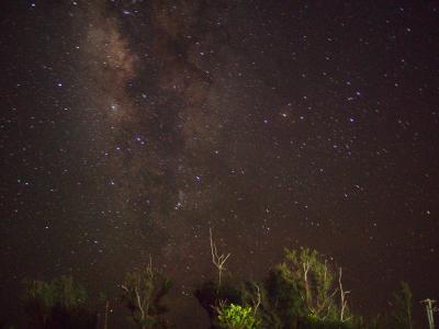 西表島で満天の星空を観てちょっとだけ竹富島観光と石垣牛の旅