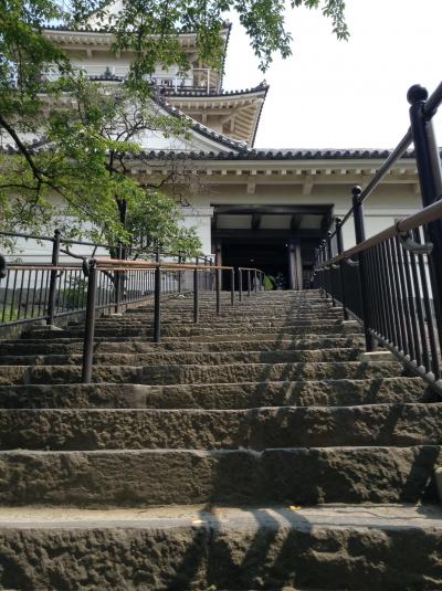 ●○●　古の小田原 小田原城とお食事（菜こんたん）　○●○  