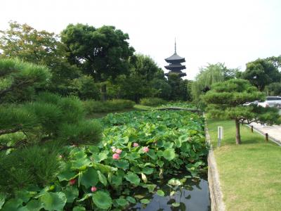 奈良と飛鳥旅行