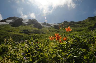 花に魅せられ　白馬～白馬大池～蓮華温泉を歩く