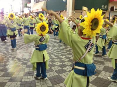 2013.8.11～13よさこい祭りと阿波踊り