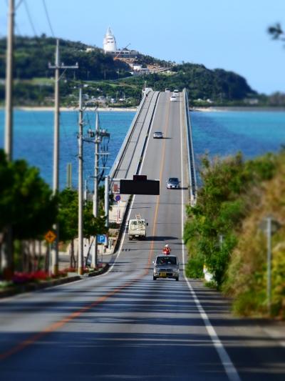 美ら海クマノミパラダイス