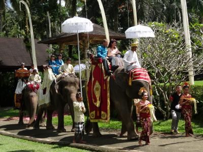 バリ島～夏休み　家族でバリデビュー～　vol.3　Elephant Safari Park