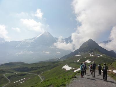 164 スイス旅行　花のユングフラウ