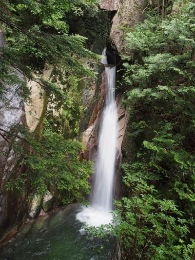 滝メグラーが行く１６１　日本の滝百選・寂地峡五竜の滝　本命はこっち