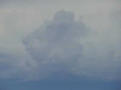 この日は上空から富士山がやっと見える程度でした。 