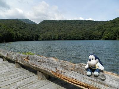 グーちゃん、お盆に青森で湯治する！（蔦温泉の泡の正体は！？編）