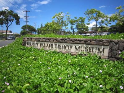 次男ウェディングｉｎハワイ＝街歩き；ビショプミュージアムとカメハメハベーカリー（2日目）