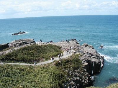 日本海に面した海食崖東尋坊と　日本曹洞宗の中心寺院（大本山）永平寺